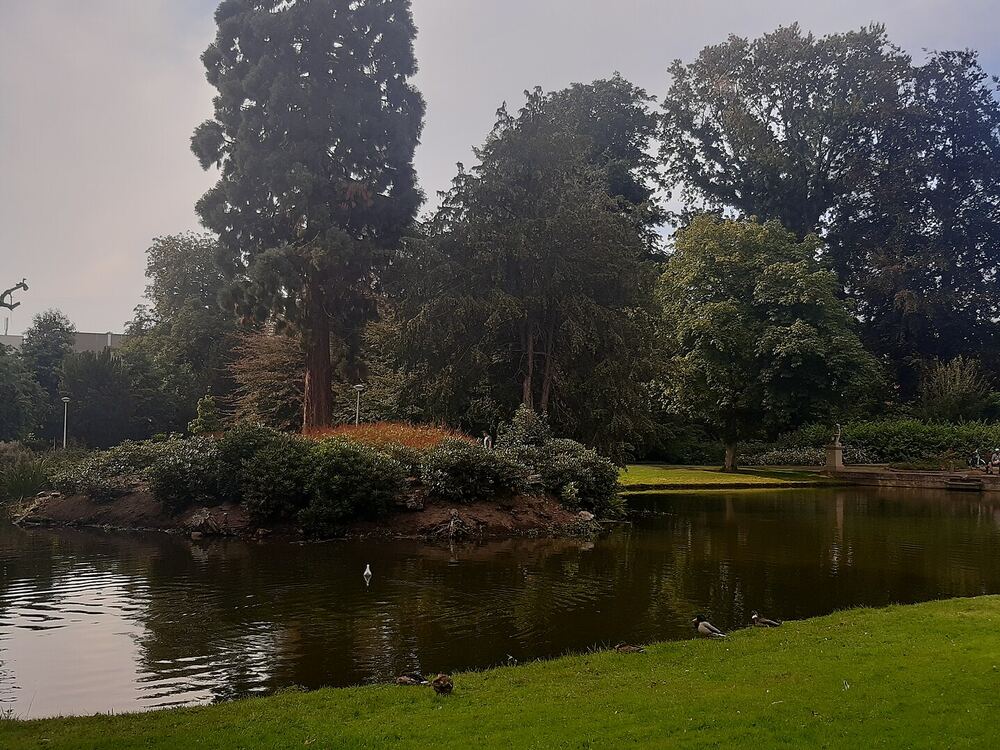 De vijver in het Emile van Loonpark in Roosendaal