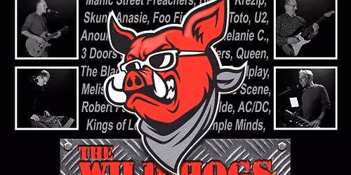 The WILD HOGS — Uitgaan in Roosendaal